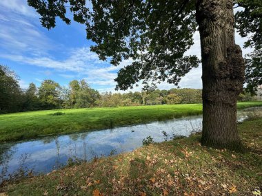 Güzel su kanalı, yeşil çimenler ve ağaçlar parkta