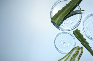 Kozmetik jöleli petri kapları ve açık mavi arka planda aloe vera kesimi, düz yatış. Metin için boşluk