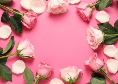 Pembe arka planda güzel güller ve taç yaprakları çerçevesi, üst manzara. Metin için boşluk