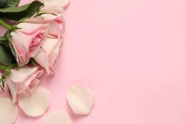 Όμορφα Τριαντάφυλλα Και Πέταλα Ροζ Φόντο Κορυφαία Θέα Χώρος Για — Φωτογραφία Αρχείου
