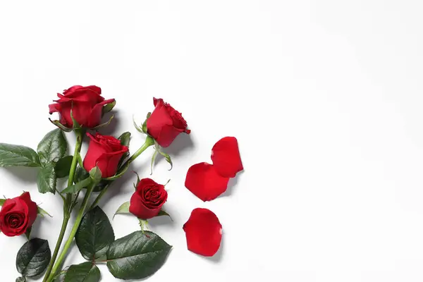 Beautiful Red Roses Petals White Background Top View Space Text — Stock Photo, Image