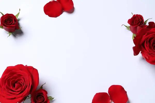 Όμορφα Κόκκινα Τριαντάφυλλα Και Πέταλα Λευκό Φόντο Επίπεδη Θέσει Χώρος — Φωτογραφία Αρχείου