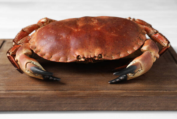 Delicious boiled crab on white table, closeup