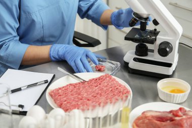 Bilim adamı laboratuvarda eti kontrol ediyor, yakın plan. Kalite denetimi