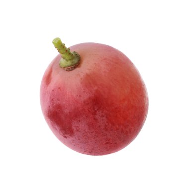 Bir olgun kırmızı üzüm, beyaz üzerine izole edilmiş.