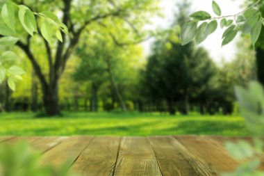 Güneşli bir günde parkta boş bir tahta masa. Tasarım için boşluk