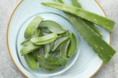 Açık gri masada taze aloe vera parçaları, üst görünüm