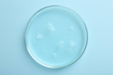 Açık mavi arka planda sıvı numuneli Petri kabı, üst görünüm