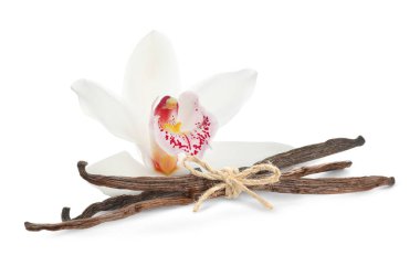 vanilya pods ve üzerinde beyaz izole çiçek