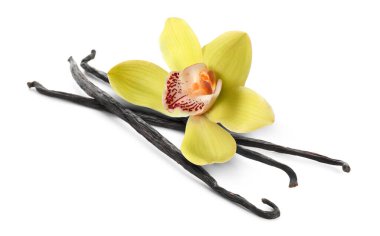 Vanilya kabukları ve sarı çiçek beyaza izole edilmiş