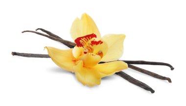 Vanilya kabukları ve sarı çiçek beyaza izole edilmiş