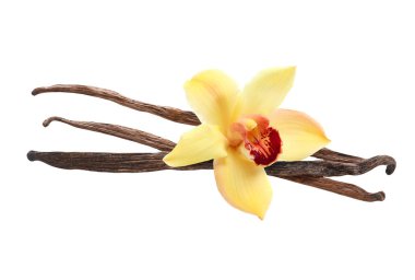 Vanilya kabukları ve sarı çiçek beyaza izole edilmiş