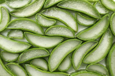 Taze aloe vera dilimleri arkaplan olarak, üst görünüm