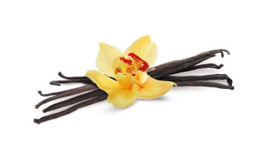 Vanilya kabukları ve sarı çiçek beyaza izole edilmiş