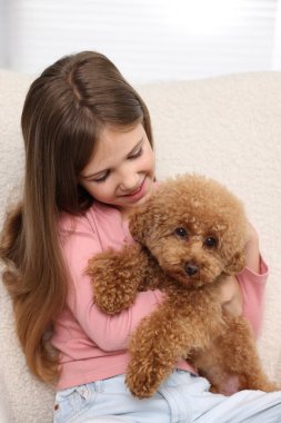 Koltuğunda sevimli bir köpek yavrusu olan küçük bir çocuk. Sevimli hayvan