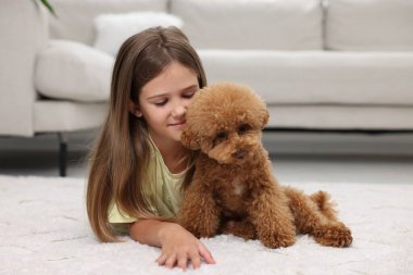 Evdeki halının üzerinde küçük bir çocuk ve sevimli bir köpek yavrusu. Sevimli hayvan