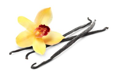 Vanilya kabukları ve sarı çiçek beyaza izole edilmiş