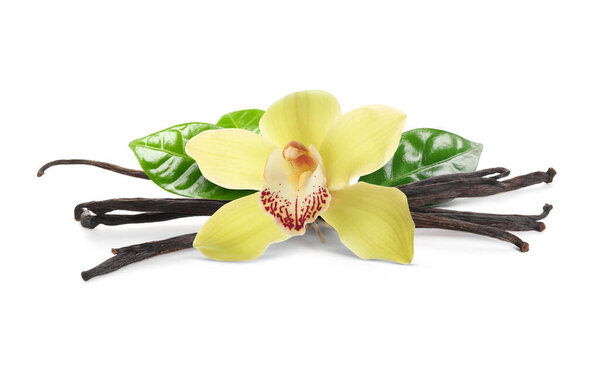 Ванильные стручки, зеленые листья и желтый цветок изолированы на белом