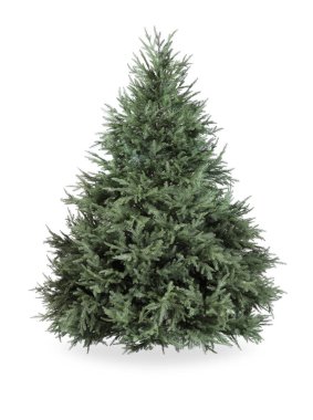 Bir yeşil Noel ağacı beyazda izole edilmiş