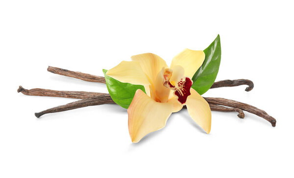 Ванильные стручки, зеленые листья и желтый цветок изолированы на белом