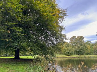 Güz parkında güzel gölet ve ağaçlar