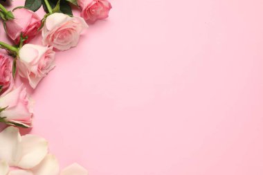 Pembe arka planda güzel güller ve yapraklar, üst manzara. Metin için boşluk