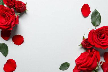 Açık arkaplanda güzel kırmızı güller ve yapraklar, düz bir zemin. Metin için boşluk