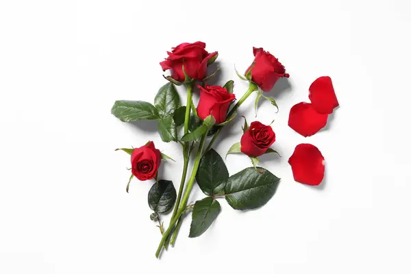 Beautiful Red Roses Petals White Background Top View — Stock Photo, Image
