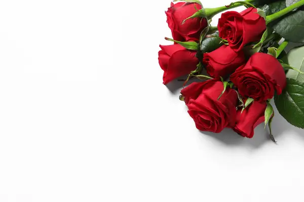Beautiful Red Roses White Background View Space Text — Stock Photo, Image