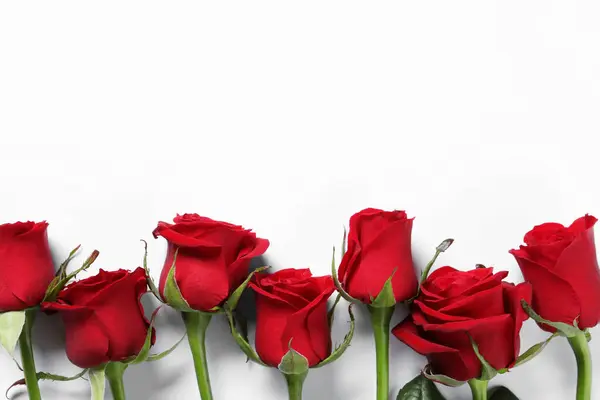 Beautiful Red Roses White Background Top View Space Text — Stock Photo, Image