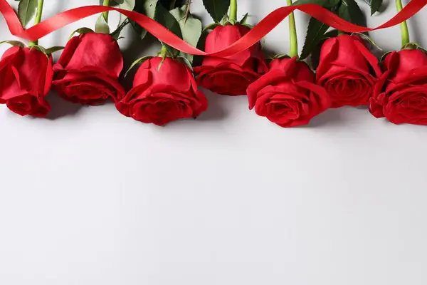 Beautiful Red Roses Ribbon White Background View Space Text — Stock Photo, Image