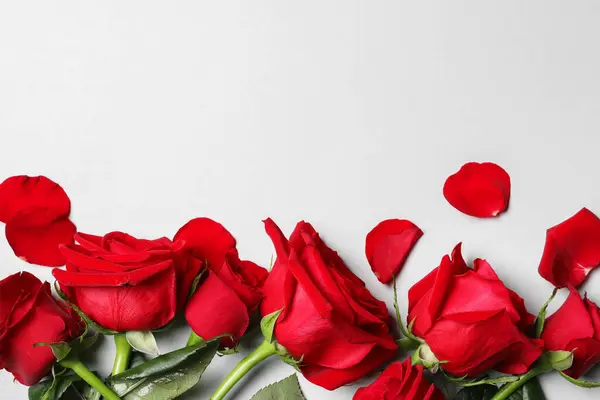 Όμορφα Κόκκινα Τριαντάφυλλα Και Πέταλα Στο Φως Φόντο Επίπεδη Θέσει — Φωτογραφία Αρχείου