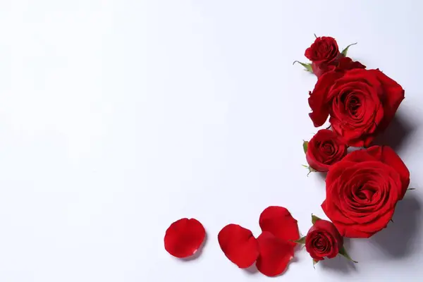 Όμορφα Κόκκινα Τριαντάφυλλα Και Πέταλα Λευκό Φόντο Επίπεδη Θέσει Χώρος — Φωτογραφία Αρχείου