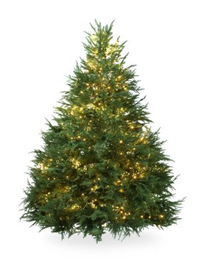 Güzel Noel ağacı, beyaz ışıklarla izole edilmiş.