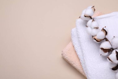 Kabarık çiçekli pamuk dalları ve bej arka planda terry havluları, üst manzara. Metin için boşluk