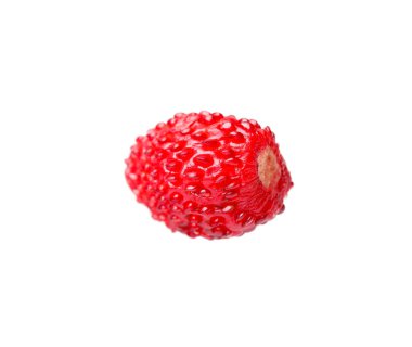 Bir olgun yabani çilek beyazda izole edilmiş.