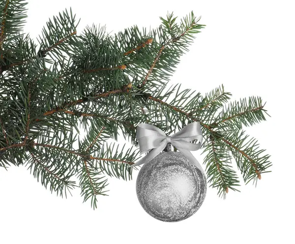 Silver shiny Christmas ball on fir tree branch against white background