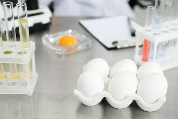 Fresh eggs on table in laboratory. Food quality control