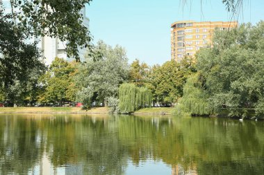 Güneşli bir günde ağaçlı ve göllü sessiz bir park.
