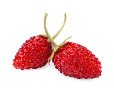 İki olgun yabani çilek, beyaz üzerine izole edilmiş.