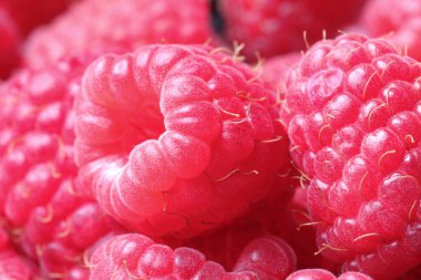 Many fresh ripe raspberries as background, closeup