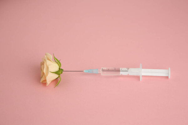 Medical syringe and beautiful rose on light pink background, above view