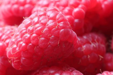 Many fresh ripe raspberries as background, closeup