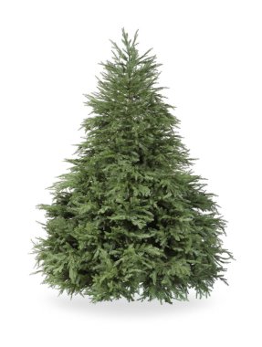 Güzel yeşil Noel ağacı beyazda izole edilmiş