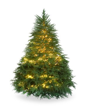 Beyaz ışıklarla süslenmiş güzel Noel ağacı.