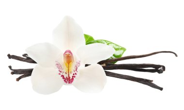 Vanilya kabukları ve güzel çiçekler beyazda izole edilmiş.