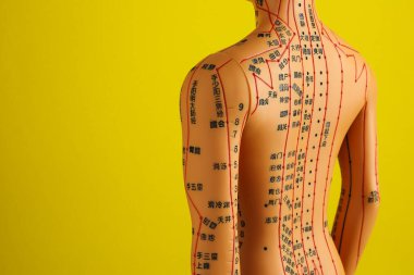 Akupunktur modeli. Sarı arkaplanda noktaları ve çizgileri olan manken, metin için boşluk