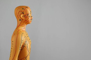 Akupunktur modeli. Gri arkaplan üzerinde nokta ve çizgileri olan manken, metin için boşluk