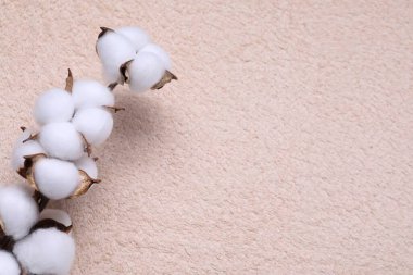 Tüylü çiçekli pamuk dallı bej havlu, üst manzara. Metin için boşluk