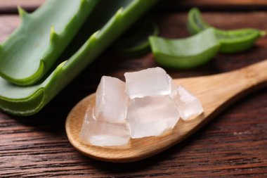 Aloe vera jeli ve ağaç dilimleri ahşap masada, yakın plan.